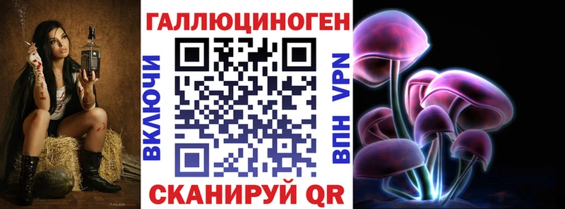 купить наркотик  Баксан  Псилоцибиновые грибы Cubensis 