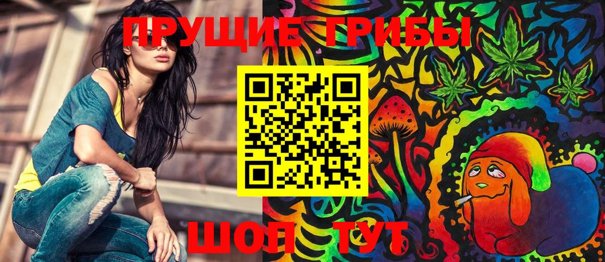 Галлюциногенные грибы Psilocybe  Вход с VPN  Галлюциногенные грибы Psilocybe  Баксан 