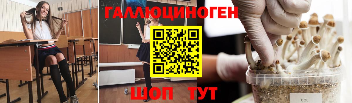 Галлюциногенные грибы мицелий Баксан
